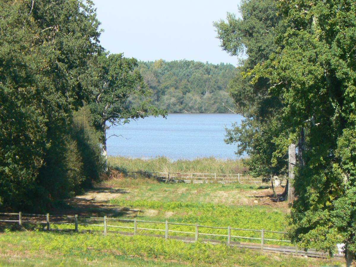 Hotel Domaine De Mont-Evray Nouan-le-Fuzelier Zewnętrze zdjęcie